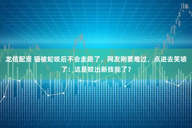 龙信配资 猫被蛇咬后不会走路了，网友刚要难过，点进去笑喷了：这是咬出新技能了？