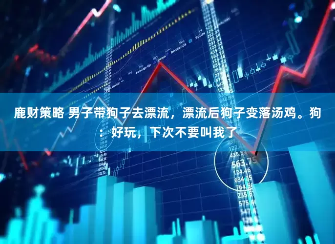 鹿财策略 男子带狗子去漂流，漂流后狗子变落汤鸡。狗：好玩，下次不要叫我了