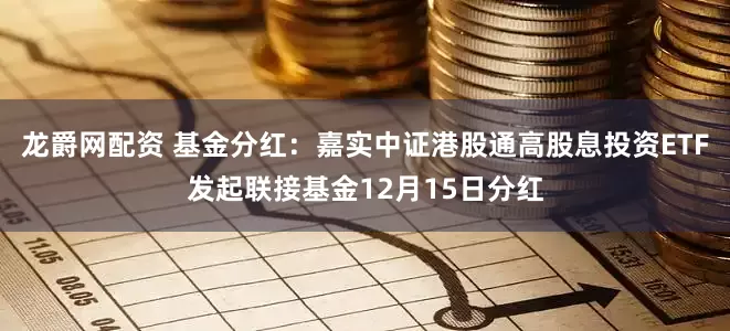 龙爵网配资 基金分红：嘉实中证港股通高股息投资ETF发起联接基金12月15日分红